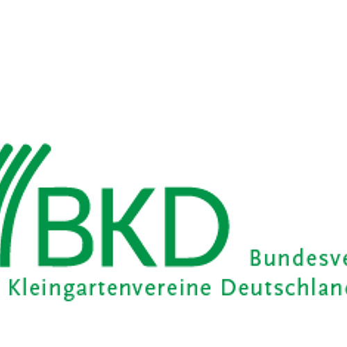 BKD informiert 07/2025