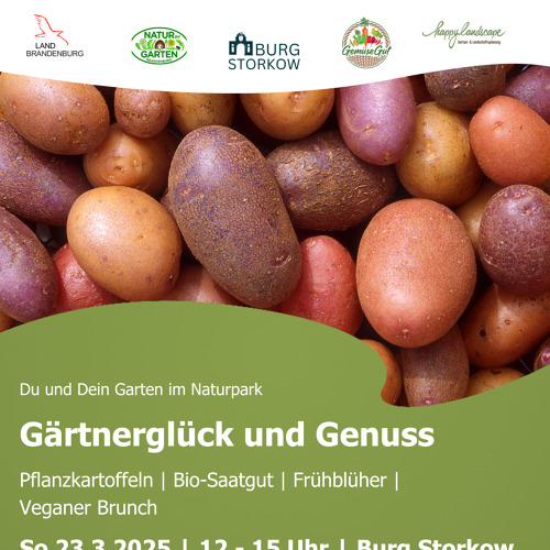 Pflanzkartoffeln in Storkow