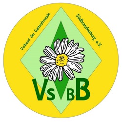 Beratung Bewerter des VSBB
