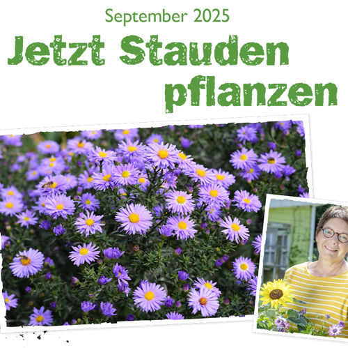 Neudorff Newsletter September 2025 