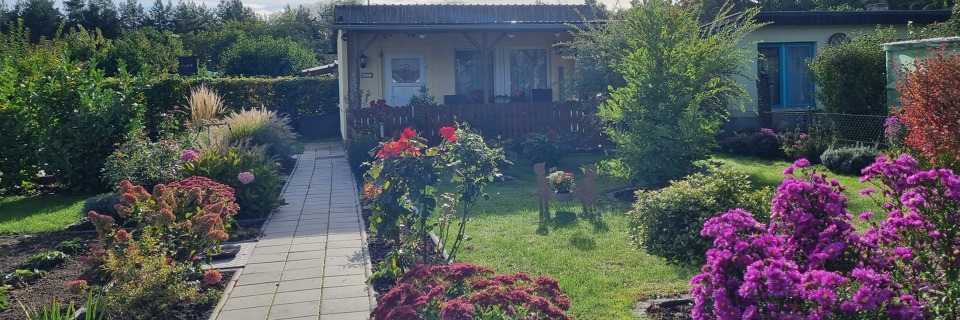 Blühender Kleingarten mit Gartenlaube und bepflanzten Beeten